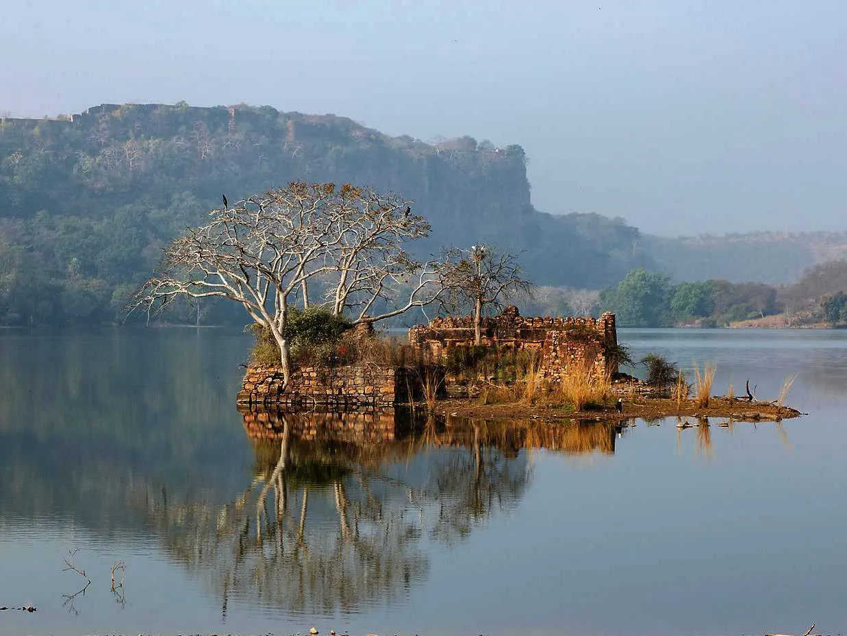 Padam Talao, Ranthambore