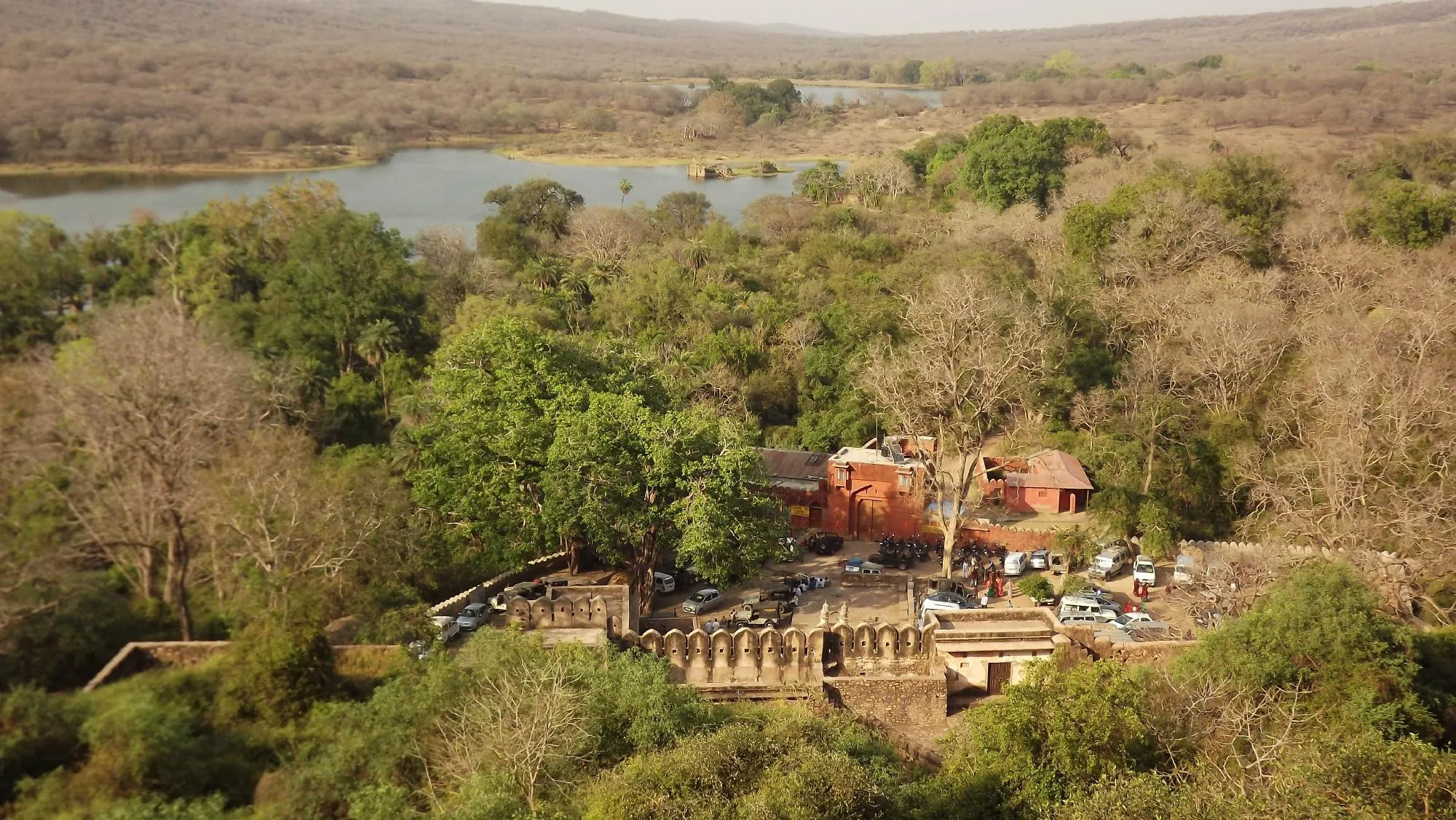 Kachida Valley, Ranthambore